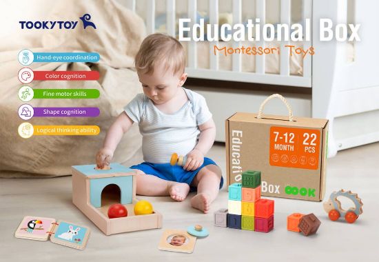 Picture of EDUCATION BOX 7-12 MONTHS