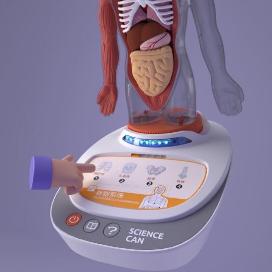 Picture of MY BODY VOICE PEDIA
